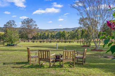 Lifestyle For Sale - NSW - Nabiac - 2312 - Bunagunoo - 5.91ha (14.6 Acre) Lifestyle Dream  (Image 2)