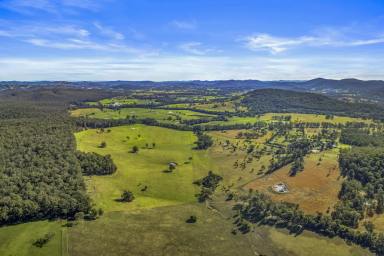 Lifestyle Auction - NSW - Nabiac - 2312 - 'Bunagunoo'  (Image 2)