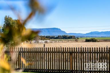House For Sale - TAS - Cressy - 7302 - Panoramic Mountain Views  (Image 2)