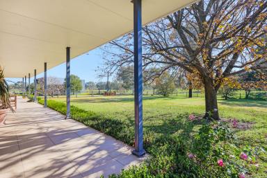 Lifestyle Auction - NSW - Tamworth - 2340 - PRODUCTIVITY, PEACE AND QUIET AT THE END OF THE ROAD  (Image 2)