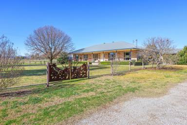Lifestyle Auction - NSW - Tamworth - 2340 - PRODUCTIVITY, PEACE AND QUIET AT THE END OF THE ROAD  (Image 2)