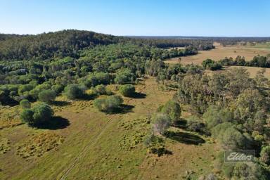 Residential Block For Sale - QLD - Bauple - 4650 - PADDOCKS OF POSSIBILITY - CREATE YOUR COUNTRY ESCAPE  (Image 2)