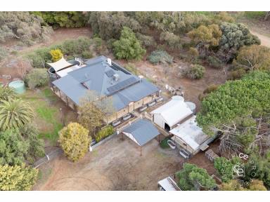 Acreage/Semi-rural For Sale - SA - Palmer - 5237 - Ideal Lifestyle Property in a Tranquil Setting  (Image 2)