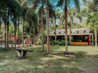 House For Sale - QLD - Cooktown - 4895 - Tropical Lifestyle Retreat on 10.42 Hectares Pool, Spa & Rainforest Oasis  (Image 2)