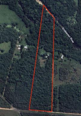House For Sale - QLD - Cooktown - 4895 - Tropical Lifestyle Retreat on 10.42 Hectares Pool, Spa & Rainforest Oasis  (Image 2)