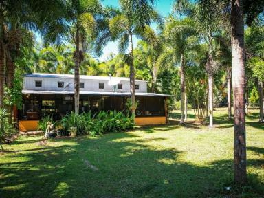 House For Sale - QLD - Cooktown - 4895 - Tropical Lifestyle Retreat on 10.42 Hectares Pool, Spa & Rainforest Oasis  (Image 2)