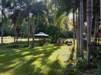 House For Sale - QLD - Cooktown - 4895 - Tropical Lifestyle Retreat on 10.42 Hectares Pool, Spa & Rainforest Oasis  (Image 2)