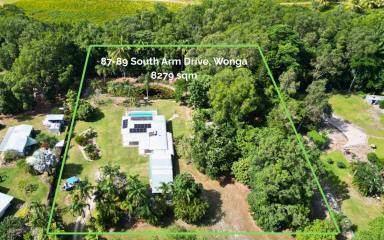 House For Sale - QLD - Wonga Beach - 4873 - PRIVATE 2 ACRE RETREAT  (Image 2)