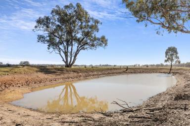 Mixed Farming For Sale - VIC - Woodvale - 3556 - Private 80 Acre Retreat  (Image 2)
