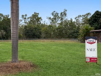 Residential Block For Sale - QLD - Dimbulah - 4872 - 1,012m2 VACANT LAND IN DIMBULAH  (Image 2)