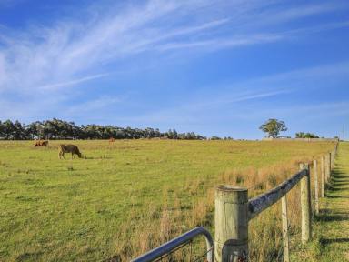 Residential Block Sold - VIC - East Bairnsdale - 3875 - DEVELOPMENT OPPORTUNITY GROWTH CORRIDOR  (Image 2)