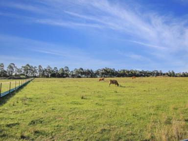 Residential Block Sold - VIC - East Bairnsdale - 3875 - DEVELOPMENT OPPORTUNITY GROWTH CORRIDOR  (Image 2)