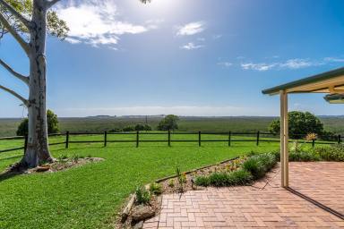 House For Sale - NSW - Cumbalum - 2478 - Rural Lifestyle Holding with Subdivision Potential (STCA)  (Image 2)