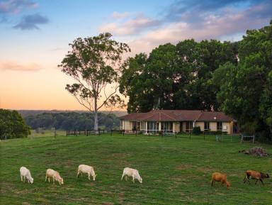 House For Sale - NSW - Cumbalum - 2478 - Rare Chance to Establish a Rural Estate Close to Lennox Head  (Image 2)