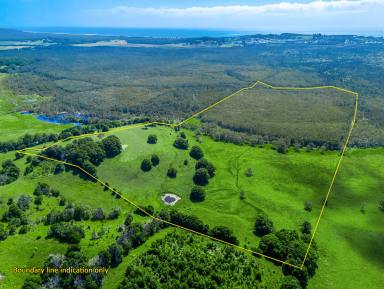 House For Sale - NSW - Cumbalum - 2478 - Rare Chance to Establish a Rural Estate Close to Lennox Head  (Image 2)