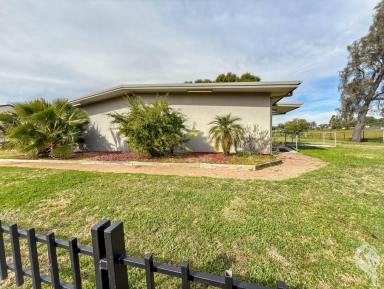Other (Residential) For Sale - NSW - Narrabri - 2390 - DOUBLE BRICK BUILDING ON TWO TITLES!  (Image 2)