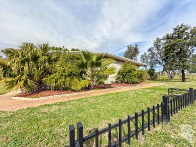 Other (Residential) For Sale - NSW - Narrabri - 2390 - DOUBLE BRICK BUILDING ON TWO TITLES!  (Image 2)