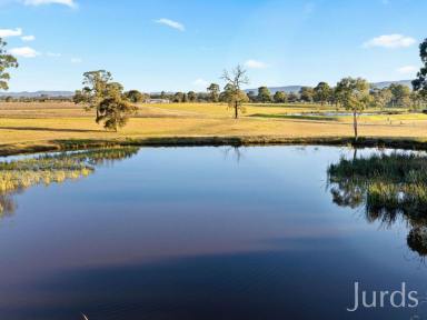Lifestyle For Sale - NSW - Nulkaba - 2325 - WIRRAL GRANGE – ICONIC VINEYARD ESTATE IN HUNTER VALLEY WINE COUNTRY  (Image 2)
