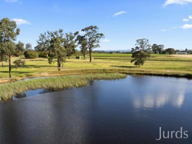 Lifestyle For Sale - NSW - Nulkaba - 2325 - WIRRAL GRANGE – ICONIC VINEYARD ESTATE IN HUNTER VALLEY WINE COUNTRY  (Image 2)