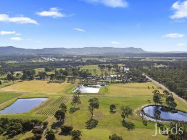 Lifestyle For Sale - NSW - Nulkaba - 2325 - WIRRAL GRANGE – ICONIC VINEYARD ESTATE IN HUNTER VALLEY WINE COUNTRY  (Image 2)