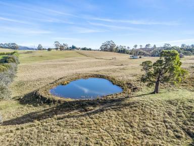 Residential Block For Sale - TAS - Barrington - 7306 - Magnificent Views  (Image 2)