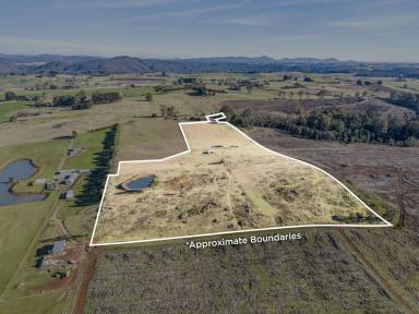Residential Block For Sale - TAS - Barrington - 7306 - Magnificent Views  (Image 2)