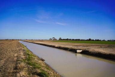 Cropping For Sale - VIC - Lake Boga - 3584 - 2,986* Acre Murray Region Cropping Aggregation  (Image 2)