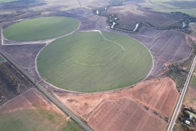 Cropping For Sale - VIC - Lake Boga - 3584 - 2,986* Acre Murray Region Cropping Aggregation  (Image 2)