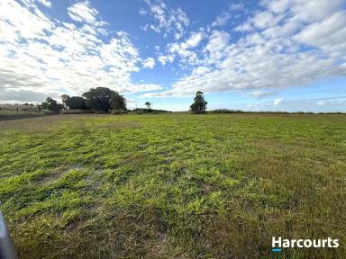 House For Sale - QLD - North Isis - 4660 - RENOVATE ME! 2.86 ACRES OF YOUR OWN FARM  (Image 2)