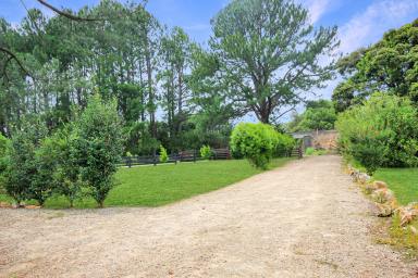 House For Lease - NSW - Herons Creek - 2439 - 4 Bedroom Home in Stunning Surrounds  (Image 2)
