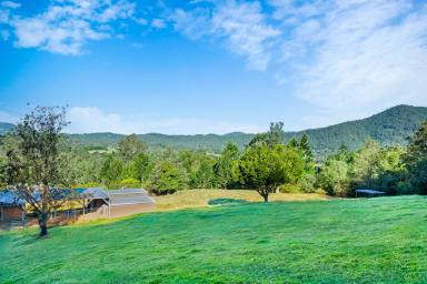 House For Sale - QLD - Samsonvale - 4520 - Timeless Character with Modern Luxury  (Image 2)