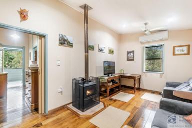 House For Sale - NSW - Jiggi - 2480 - HIDDEN GEM IN THE HEART OF JIGGI ON 49 ACRES  (Image 2)