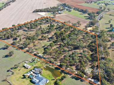 Residential Block For Sale - SA - Bordertown - 5268 - Rural Living Opportunity on 18 Acres (Image 2)