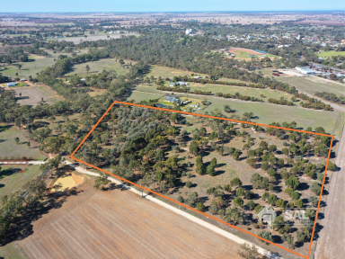 Residential Block For Sale - SA - Bordertown - 5268 - Rural Living Opportunity on 18 Acres (Image 2)