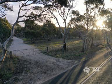 Residential Block For Sale - SA - Bordertown - 5268 - Build your dream home among the Gum Trees!  (Image 2)