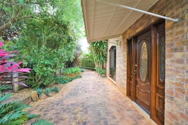 House For Lease - QLD - Redlynch - 4870 - Tropical Clay Brick Retreat in Redlynch Rise  (Image 2)