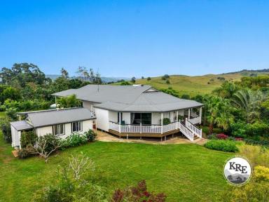 Acreage/Semi-rural For Sale - NSW - Kyogle - 2474 - CHARMING FAMILY HOME  (Image 2)