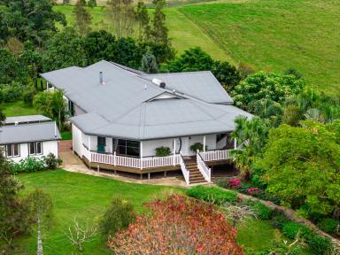 Acreage/Semi-rural For Sale - NSW - Kyogle - 2474 - Charming Family Home  (Image 2)