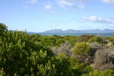 Residential Block For Sale - TAS - Dolphin Sands - 7190 - Where Dreams Are Made  (Image 2)
