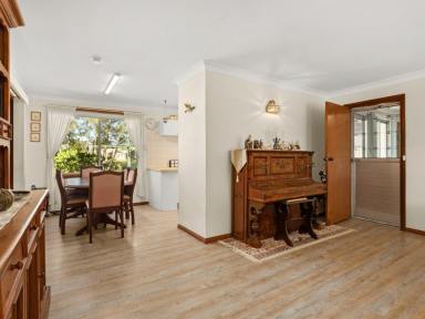 House For Lease - NSW - Old Bar - 2430 - Coastal Comfort at 9 Suni Drive, Old Bar  (Image 2)
