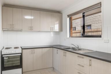 House For Lease - QLD - Newtown - 4350 - Neat & Tidy Home - Minutes from the CBD  (Image 2)