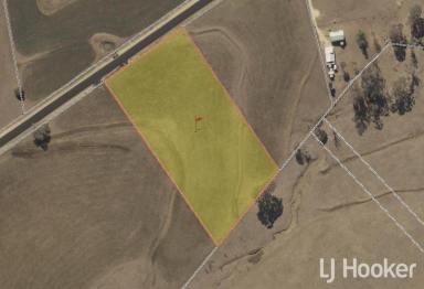 Residential Block Sold - NSW - Inverell - 2360 - SOLD BY LJ HOOKER INVERELL  (Image 2)