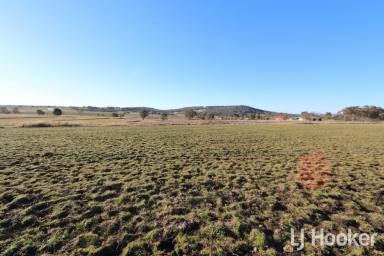 Residential Block Sold - NSW - Inverell - 2360 - SOLD BY LJ HOOKER INVERELL  (Image 2)