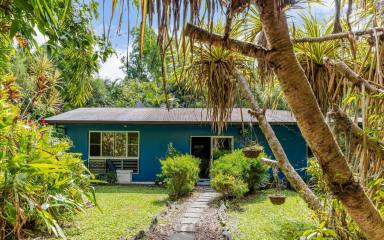 House For Sale - QLD - Mossman - 4873 - PRIVATE TROPICAL OASIS (1.5 ACRES) & MINUTES FROM TOWN  (Image 2)