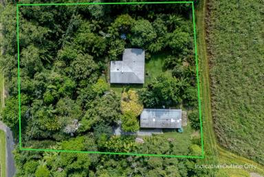 House For Sale - QLD - Mossman - 4873 - PRIVATE TROPICAL OASIS (1.5 ACRES) & MINUTES FROM TOWN  (Image 2)