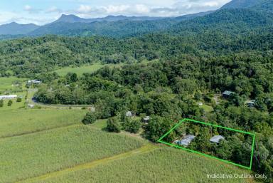 House For Sale - QLD - Mossman - 4873 - PRIVATE TROPICAL OASIS (1.5 ACRES) & MINUTES FROM TOWN  (Image 2)
