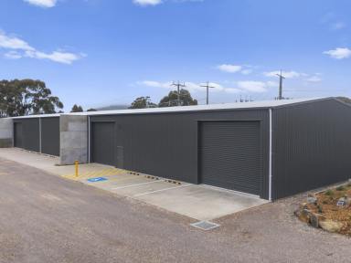 Industrial/Warehouse For Sale - VIC - Seymour - 3660 - READY TO OCCUPY - THREE QUALITY INDUSTRIAL WAREHOUSES FOR SALE  (Image 2)