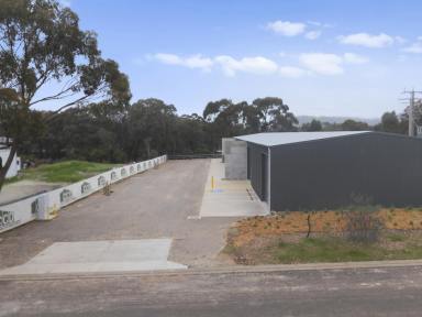 Industrial/Warehouse For Sale - VIC - Seymour - 3660 - SPROUTING NEW VENTURES - AVAILABLE NOW  (Image 2)