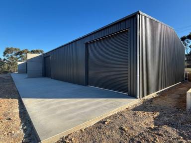 Industrial/Warehouse For Sale - VIC - Seymour - 3660 - SPROUTING NEW VENTURES - UNDER CONSTRUCTION - FINAL STAGES  (Image 2)