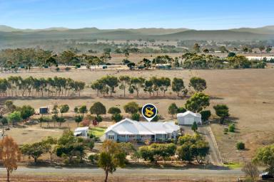 Lifestyle For Sale - VIC - Melton West - 3337 - Your Dream Rural Retreat Awaits  (Image 2)